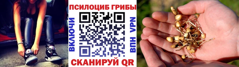 Псилоцибиновые грибы мицелий Лобня