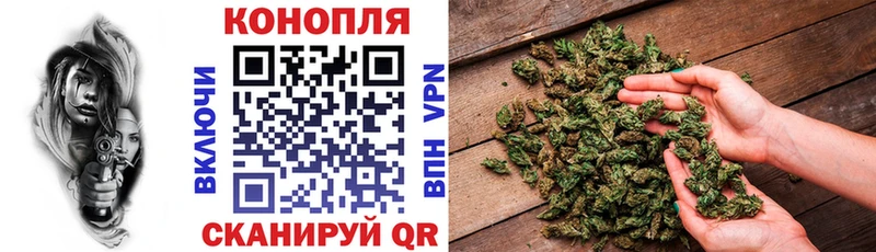 где можно купить наркотик  OMG зеркало  Бошки Шишки Amnesia  Лобня 